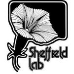 Sheffield Lab